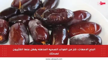 البلح الأمهات: كنز من الفوائد الصحية المذهلة يغفل عنها الكثيرون لصحتك